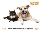 Köpek Kedi Kovucu Sistemler