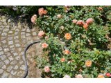 Tekstil Hortum Liano™ 15m, Set