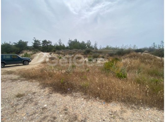 Girne Çamlıbelde Manzaralı Satılık Tarla