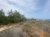 Girne Çamlıbelde Manzaralı Satılık Tarla