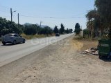 Çatalköy'deki Ana Cadde Üzerinde Kiralık Dükkan