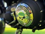 2013 Model Düz Harley Davidson Sportster Custom XL 1200S