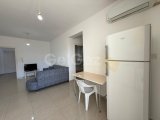 GIRNE ZEYTINLIK BÖLGESINDE KIRALIK 2+1 DAIRE