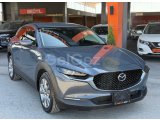 2021 Model Otomatik Mazda CX-30