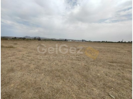 Güzelyurt'ta Dağ Manzaralı 14 Dönüm Arazi