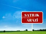 Karpaz'da Arazi