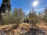 GİRNE AKÇİÇEK’DE SATILIK 3+1 KELEPİR EV