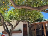 Çatalköy'de Satılık Bungalow