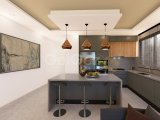 GİRNE’DE 2+1 SATILIK PENTHOUSELAR