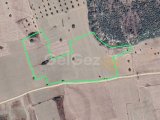 Bafra'da Proje Dahil 35 Dönüm Arazi