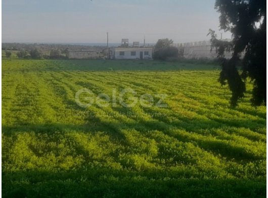 İSKELE GELİNCİK KÖYÜNDE 5.9 DÖNÜM İMARA AÇIK ARSA