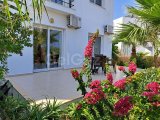 Elexus Hotel Karşısında Daire