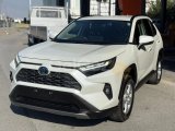 2022 Model Otomatik Toyota RAV4