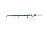 Golden Catch Rod Amullet Teleskopik 4.20m 100-220g