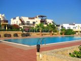 ÜÇ YATAK ODALI - ORTAK HAVUZLU - BAHÇE KATI DAİRE