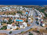 ÜÇ YATAK ODALI - ORTAK HAVUZLU - BAHÇE KATI DAİRE