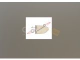 Roller Shad 125 Jig Head ve İğneler