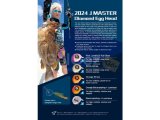 JM Diamond Egg Head 320g - Asist İğneli