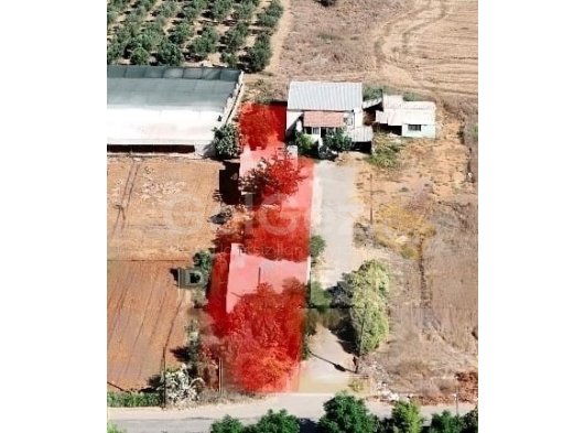 MAĞUSA MARAŞ'DA SAHİBİNDEN SATILIK ARSA