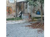 polat koçyiğit 0533 842 82 65