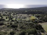 [ Arsa ] Taşlıca'da 3157 Metre Kare Arsa / Deniz Manzaralı