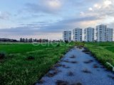 Turkish Koçan, 15 Donum 1 Evlek (20631 m²) Abelia arkası, İmara açık satılık arazi