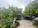 Girne Çatalköy'de 3+1 Müstakil Ev- Tek Yetkili