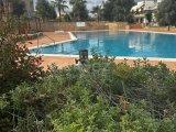 polat koçyiğit 0533 842 82 65