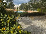 polat koçyiğit 0533 842 82 65