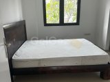 polat koçyiğit 0533 842 82 65