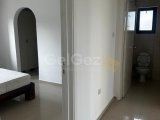 polat koçyiğit 0533 842 82 65