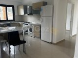 polat koçyiğit 0533 842 82 65