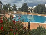 polat koçyiğit 0533 842 82 65