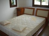 polat koçyiğit 0533 842 82 65 şubat musayıt olacak