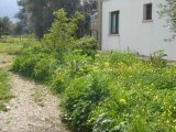polat koçyiğit 0533 842 82 65 şubat musayıt olacak