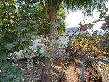 **TEK AGENT** Turk Kocanli 3+1 Bungalow- ana yol yakin