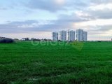 Turkish Koçan, 15 Donum 1 Evlek (20631 m²) Abelia arkası, İmara açık satılık arazi