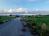 Turkish Koçan, 15 Donum 1 Evlek (20631 m²) Abelia arkası, İmara açık satılık arazi