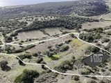 [ Arsa ] Taşlıca'da 3157 Metre Kare Arsa / Deniz Manzaralı