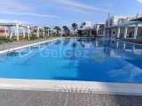 Two bedroom Furnished Apartment in Aphrodite Beachfront Resort