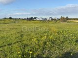 Turk Kocan 1,370m2 Tarla- Gaziveren