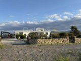 Turk Kocan 1,370m2 Tarla- Gaziveren
