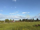Turk Kocan 1,370m2 Tarla- Gaziveren