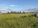 Turk Kocan 1,370m2 Tarla- Gaziveren