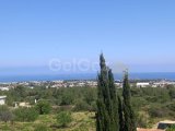 ZEYTİNLİKTE 4 YATAK ODALI LÜKS VİLLALAR - TÜRK TAPULU