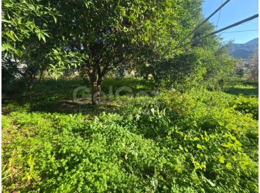 GİRNE - ÇATALKÖY'DE 855m² SATILIK ARSA