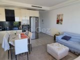 2+1 APARTMENT
