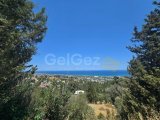 SATILIK ARSA LAPTA - 2 DÖNÜM 1 EVLEK