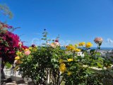THREE BEDROOM VILLA IN ALSANCAK