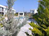 BİR YATAK ODALI MOBİLYALI AKDENİZ GOLF ÇATI KATI (OTEL KONSEPTİ)